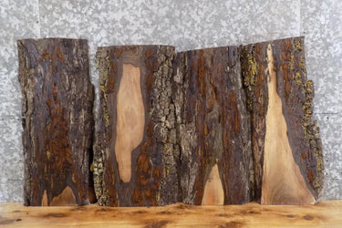 4- Live Edge Black Walnut Wall Shelf/Taxidermy Mount Slabs 1873-1876